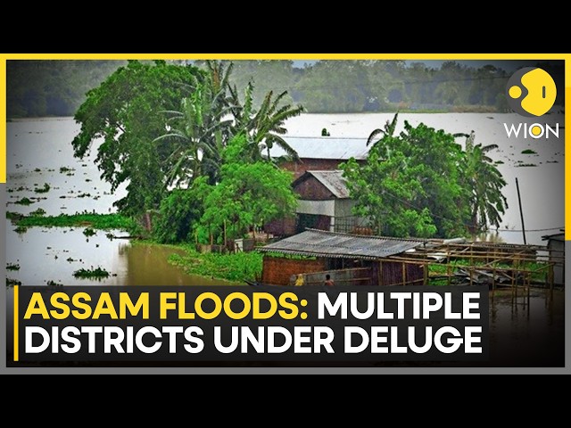 Assam Floods: Weather Department Issues Yellow Alert For Assam | WION News