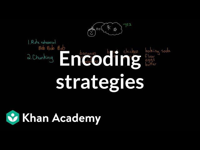 Encoding strategies | Processing the Environment | MCAT | Khan Academy