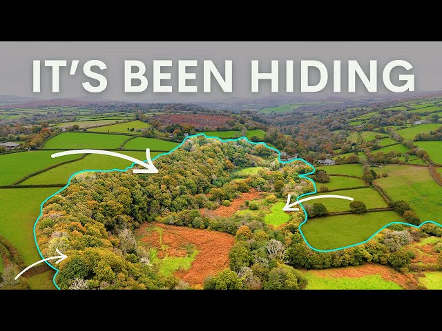 The 35 Year Rewilding Project You've Never Heard of