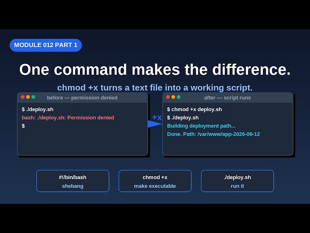 Module 012 Part 1: Stop Typing Commands One by One — Write Scripts That Run Themselves
