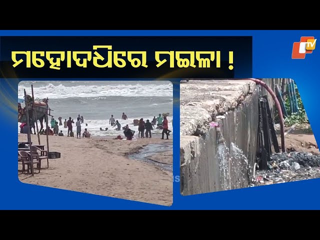 News Fuse 08 OCT 2025