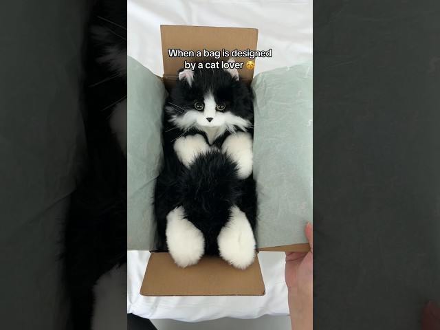 Realistic Cat Plush 🐱 | Handmade Companion Pet Gift Idea!