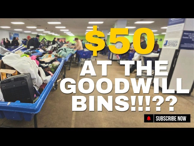 what did I get for $50 at the Goodwill Outlet Bins • Thrift with me