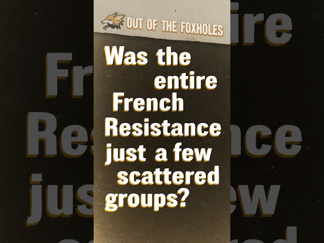 Was the French Resistance Really Just a Few Scattered Groups? #OOTF #shorts