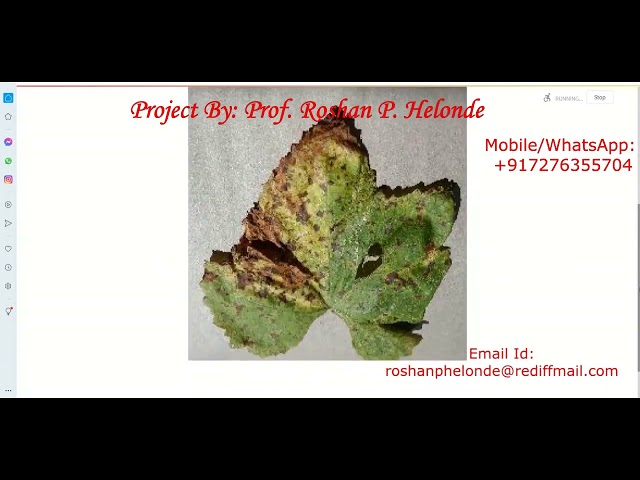 Grape Leaf Disease Prediction Using Image Processing | Python Project With Source Code