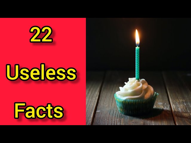 Random Facts You'll Never Use | 22 Fun Trivia | Useless Information