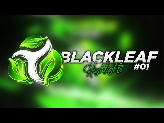 HIGHLIGHTS #01 | BlackLeaf Roleplay