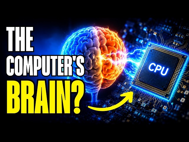 Why is the CPU called the brain of the Computer?
