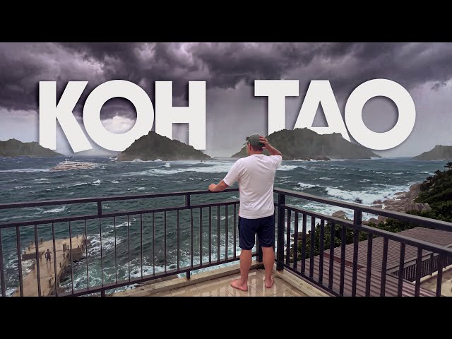 I Chose the Worst Time to Visit KOH TAO 🇹🇭 Thailand