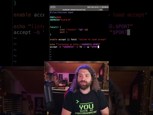 loading a plugin in bash and listening on a socket! the start of an HTTP server.