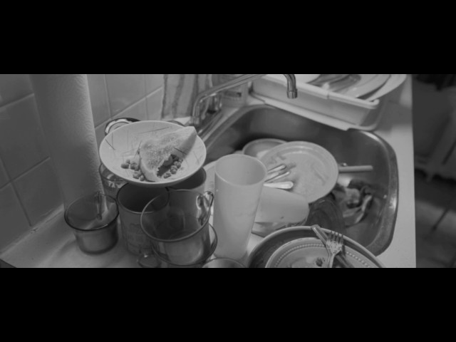 Polytechnique (2009) - The Killer's monologue/letter