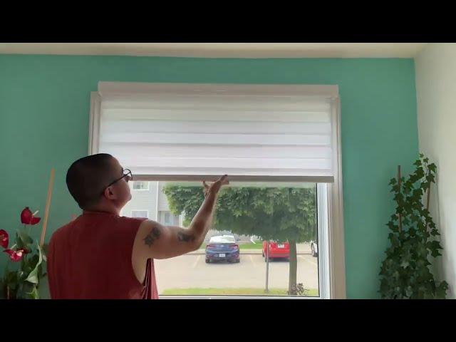 Biltek Zebra Blinds