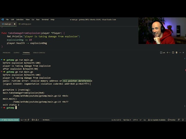Everything You Need To Know About Pointers In Golang