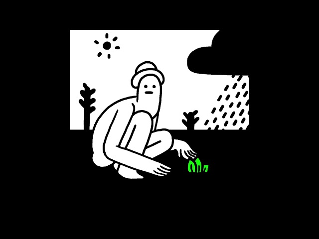 Anfaenger - By the Cornfield