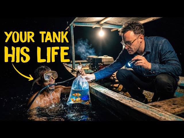 Inside the Deadly Hunt for Aquarium Fish