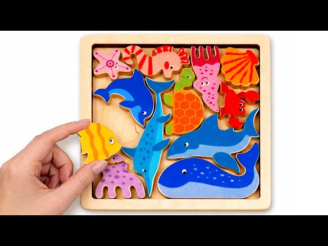 Sea Animals Puzzle Adventure 🌊🐠