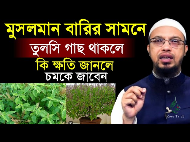 মুসলমান বাড়ি তুলসি গাছ থাকলে কি হয় দেখুন। শায়খ আহমাদুল্লাহ, Sheikh Ahmadullah