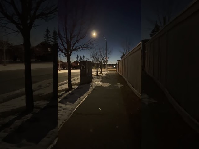 Walking with a Purpose: A Journey Through the Canada’s Streets 4K