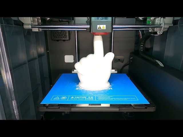 3D Pointing Finger Time Lapse
