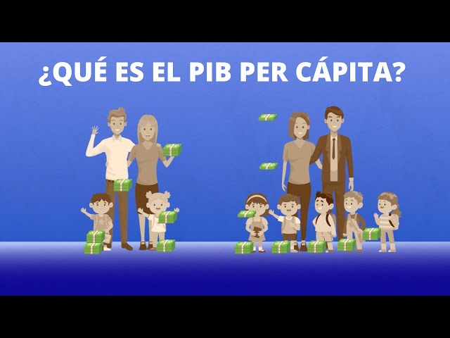 What is GDP per capita?