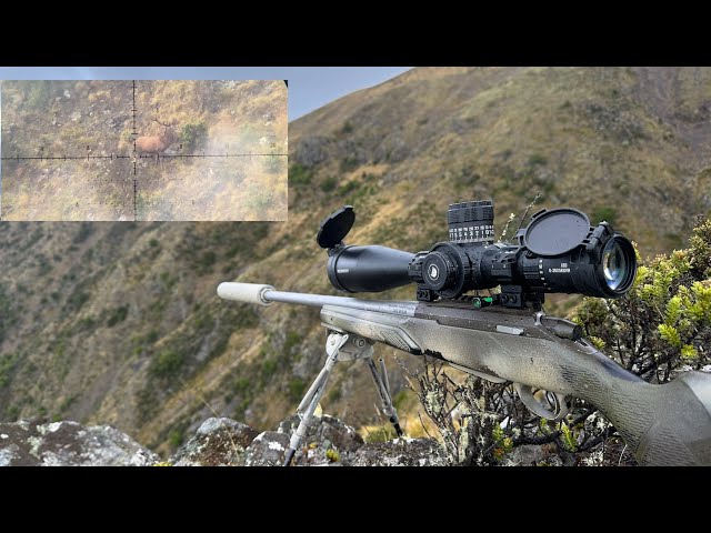 How To Hunt | Learning Basics The Practical Way 