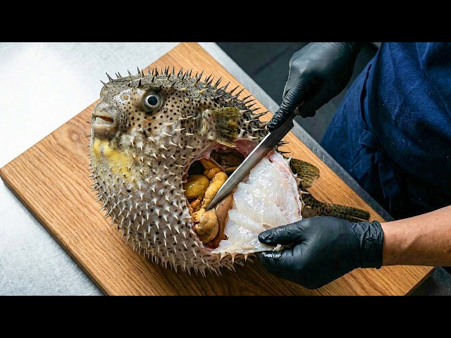 Poisonous Pufferfish: Catch, Prep & Cook – One Mistake Could Be Your Last