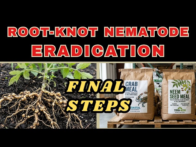 THIS Is Killing Your Plants: STEP 5 Will CRUSH Them | The Final Solution