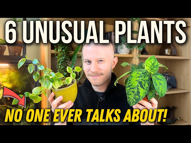 6 Unusual Plants That No One Ever Talks About!