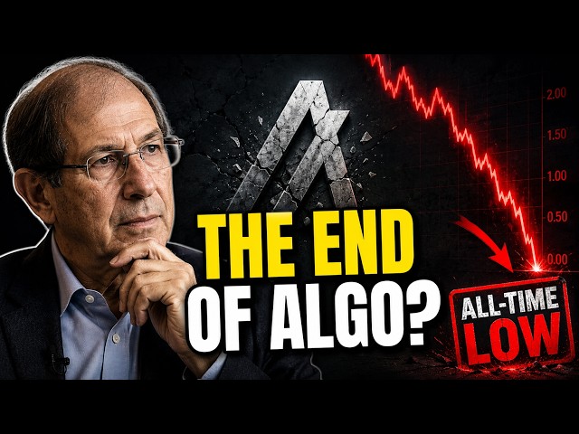 Why Silvio Left Algorand (And Why ALGO Hit All-Time Lows)
