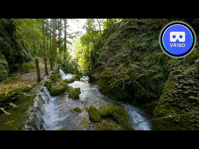 VR180 Trip The waterfall the day after heavy rain is terrifying 8K Video