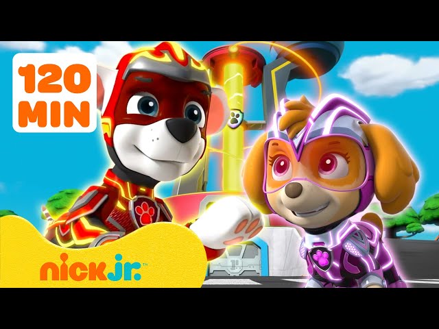 Paw Patrol | ¡Recopilación de NUEVOS EPISODIOS de PAW Patrol! Con Marshall | Nick Jr. en Español