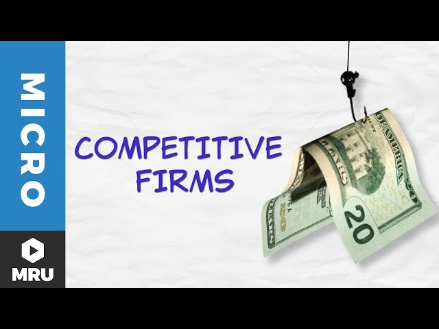 Introduction to the Competitive Firm