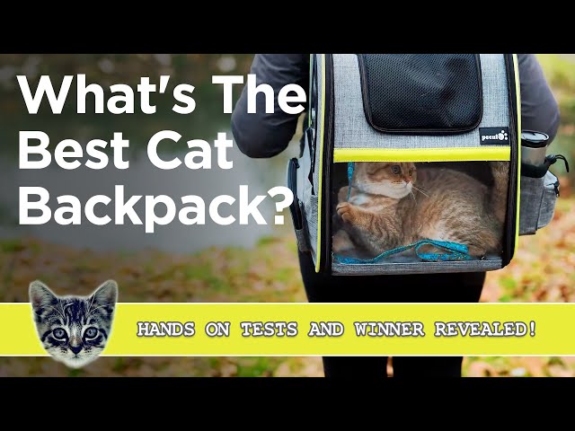 The Best Cat Backpack 2025 - We Tested Our Top 3 And Pick The Winner!