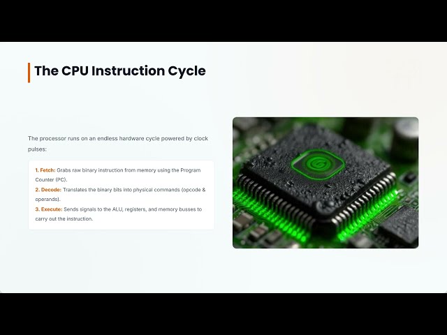 Episode 2 : Java AND Coding Data types and CPU architecture