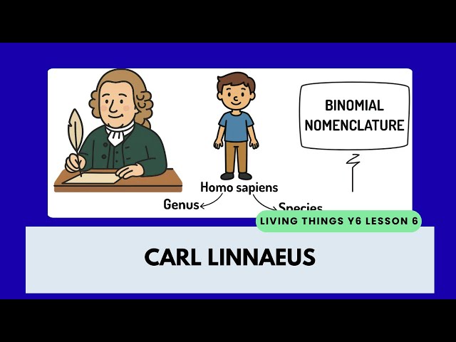 Carl Linnaeus' Classification System | Year 6 Living Things & Their Habitats | KS2 Science