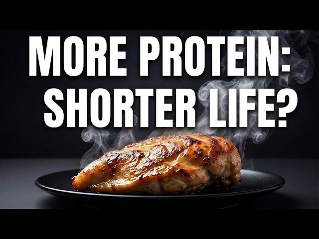 What Harvard & USC Just Learned About Protein