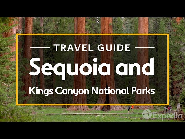 Discover the HIDDEN GEMS of Sequoia and Kings Canyon National Parks | Travel Guide