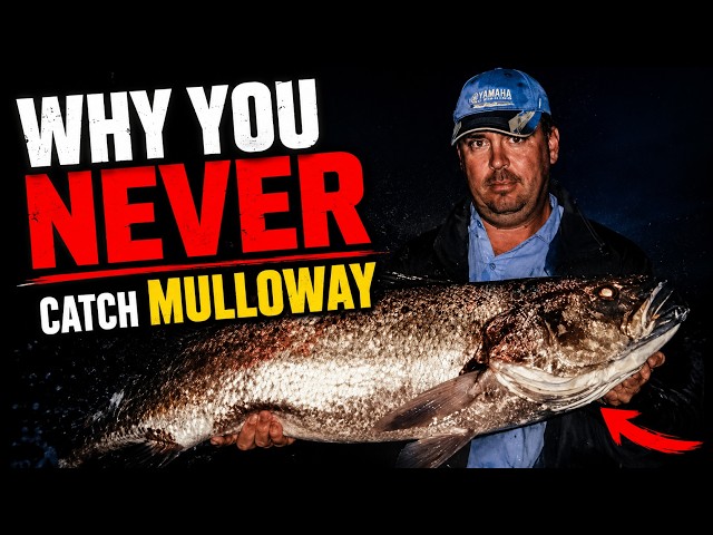 Why You NEVER Catch Mulloway