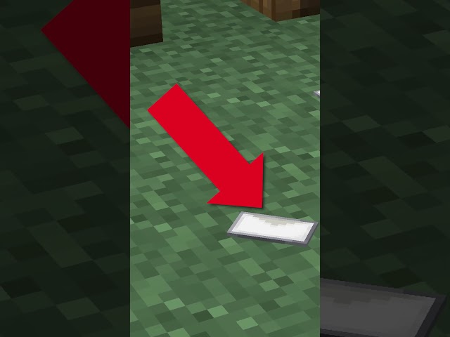 Tiny Minecraft Build Hack