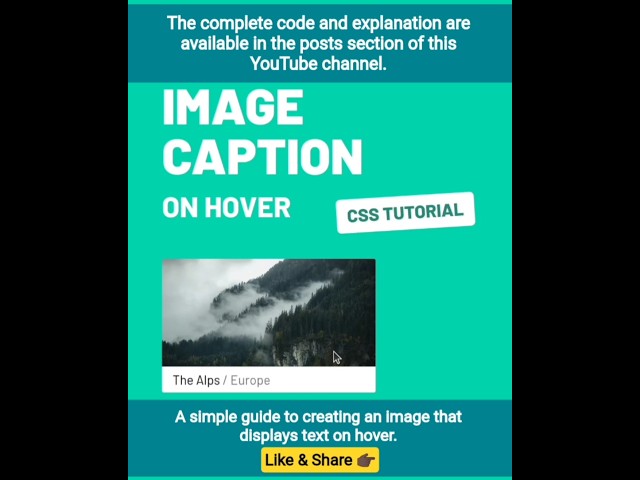 🌆 Image Caption on Hover #css #html #javascript #webdevelopment #animation #text #tips #how #full #x