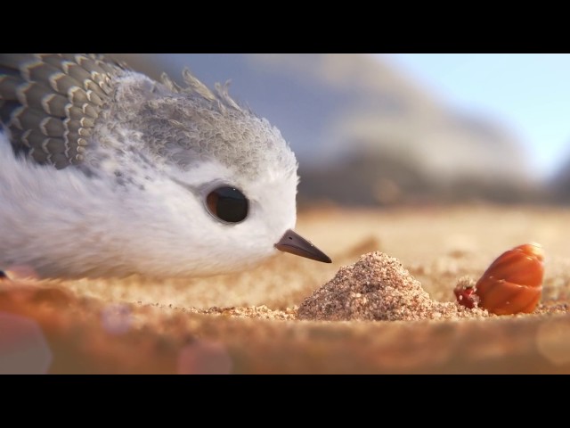 'Piper' (2016) [Pixar] [HD] Animated Short Film