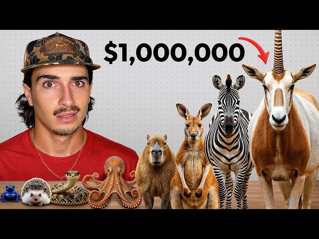 I Bought Every Exotic Animal Off the Dark Web…