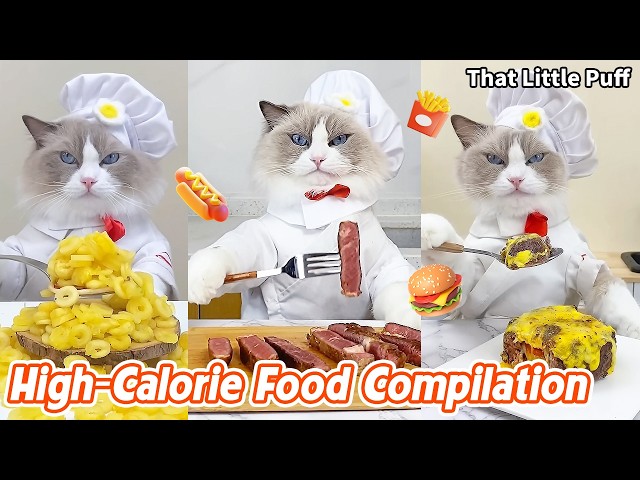 Ultimate High-Calorie Food Compilation🍔🔥Every Bite Is Rich Indulgent & Delicious! | That Little Puff