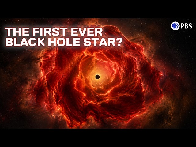 JWST May Have Discovered a New Cosmic Object: The Black Hole Star
