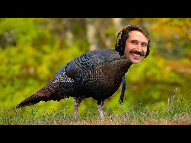 Thanksgiving Special - TheStandup