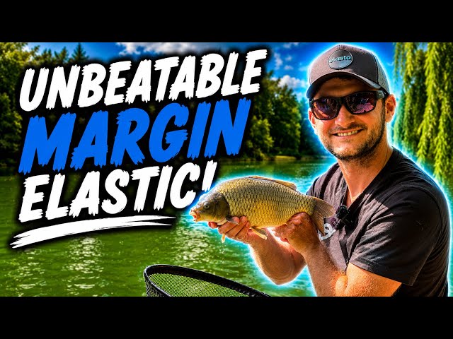 Is This The Best Margin Elastic Ever?
