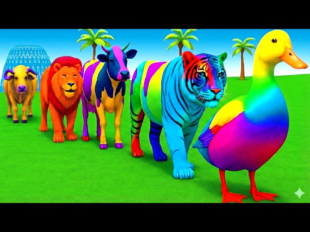 Long Slide Game With Elephant Gorilla Buffalo Hippopotamus Tiger 3d Animal Game Funny 3d Animals