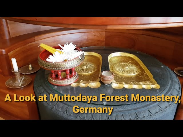 A Look at Muttodaya Forest Monastery, Germany | Ajahn Dhammasiha | Ajahn Chah Monasteries