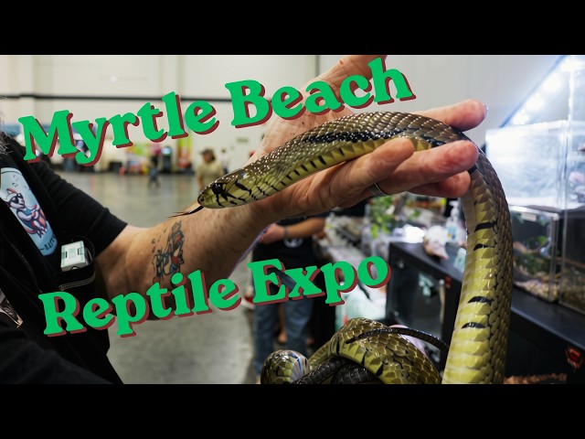 Myrtle Beach Reptile Expo! (With Review)
