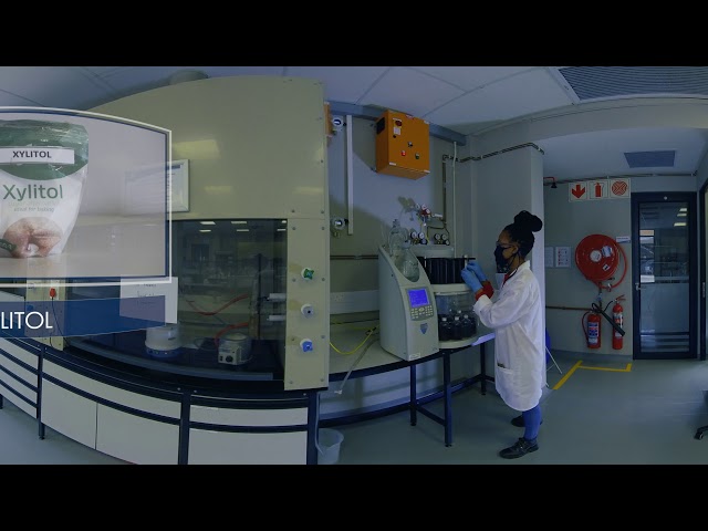 The CSIR Biorefinery Industry Development Facility